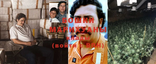 ешки Алексин
