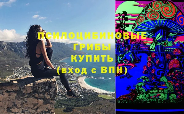 винт Алексеевка