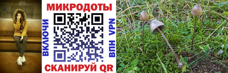 Галлюциногенные грибы GOLDEN TEACHER  OMG ONION  Цивильск 